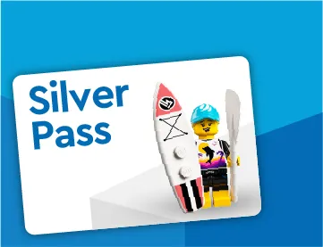 Silver Pass 02 72Ddpi