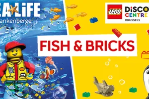 Sealife 690X346 Combischool