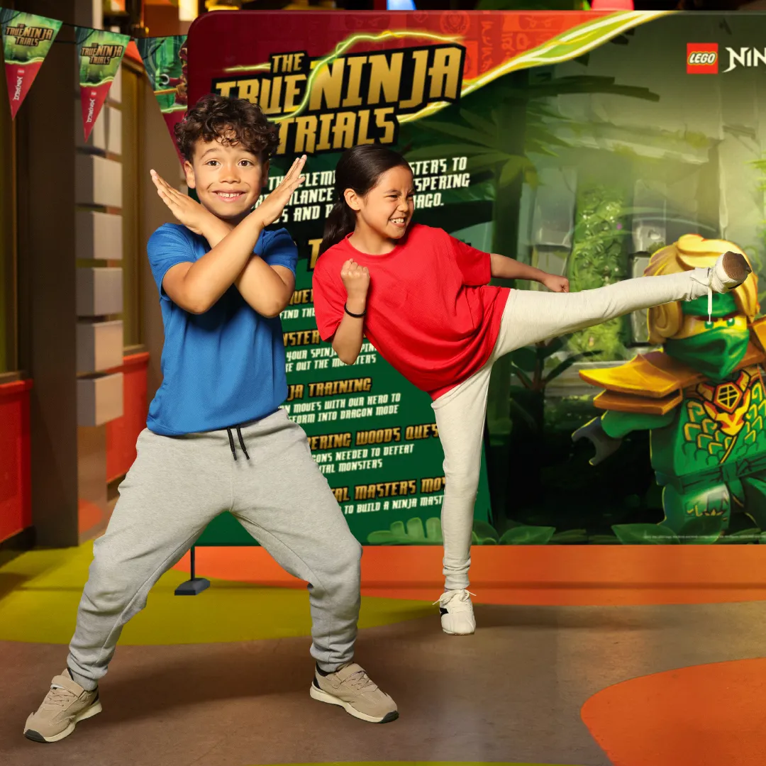25010 LDC Ninjago TTNT Theming Website Blocks Box 2