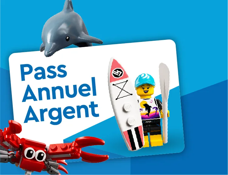 Pass Annuel Argent 150Dpi